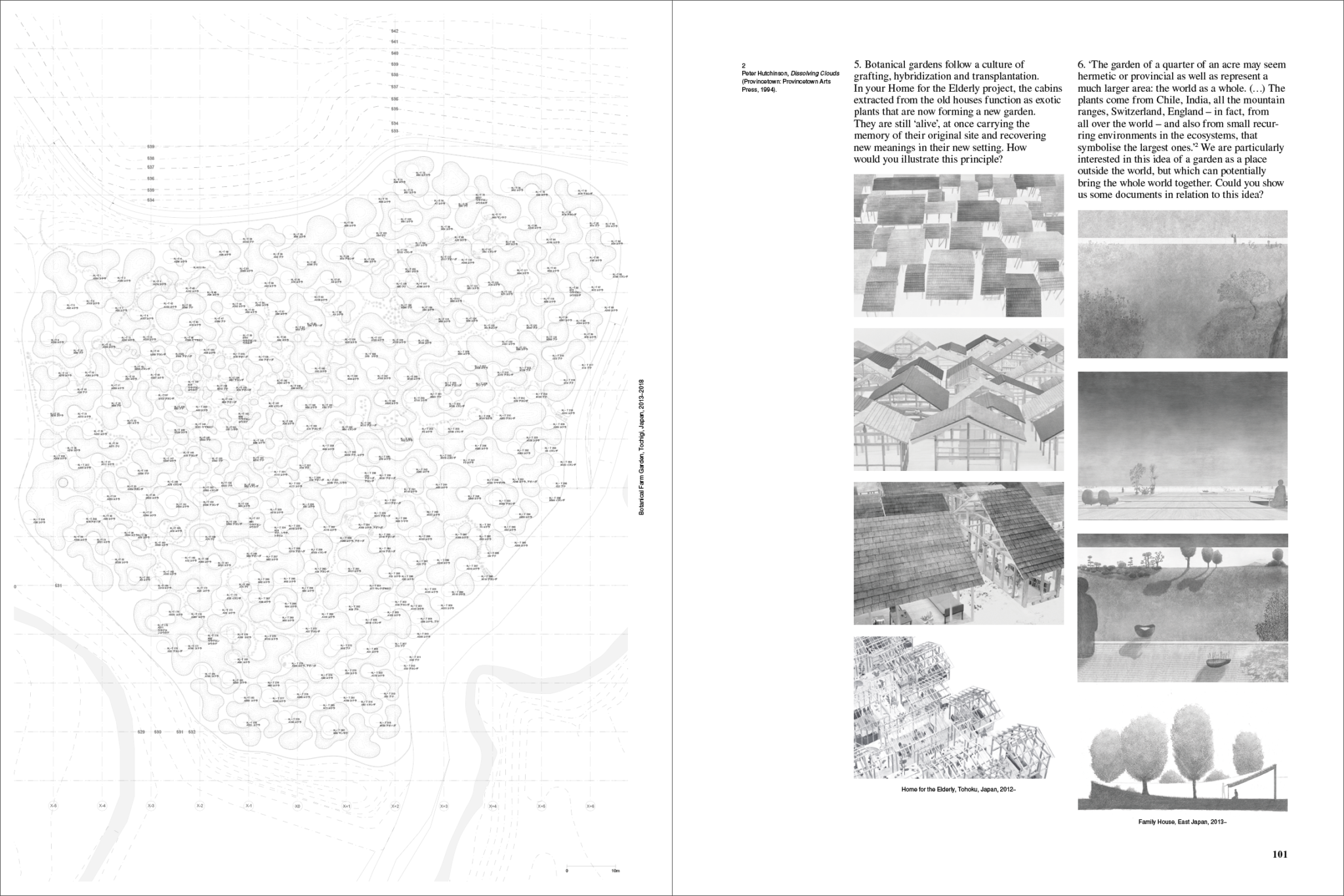 Accattone n° 06 - Coll. – Image 6