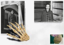 Collection n° 06 - Coll. – Image 15