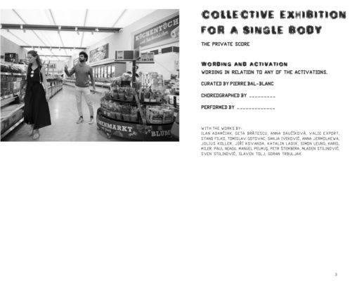 Collective Exhibition for a Single Body ... - Pierre Bal-Blanc – Image 2