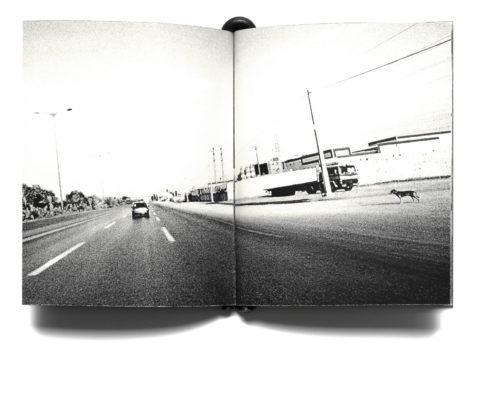 Romeo with a 'd' like rodeo nr (Algier issue) - Léa Abaroa – Image 4