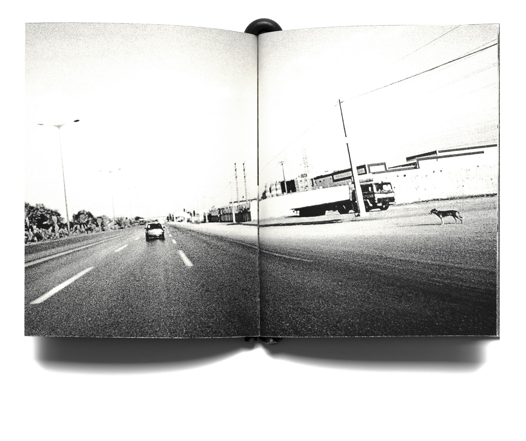 Romeo with a 'd' like rodeo nr (Algier issue) - Léa Abaroa – Image 4