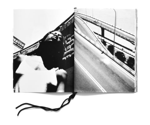 Chinese city dying flower nr (chungking issue) - Léa Abaroa – Image 8