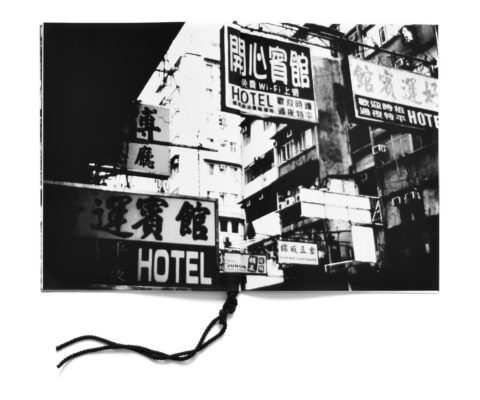 Chinese city dying flower nr (chungking issue) - Léa Abaroa – Image 6