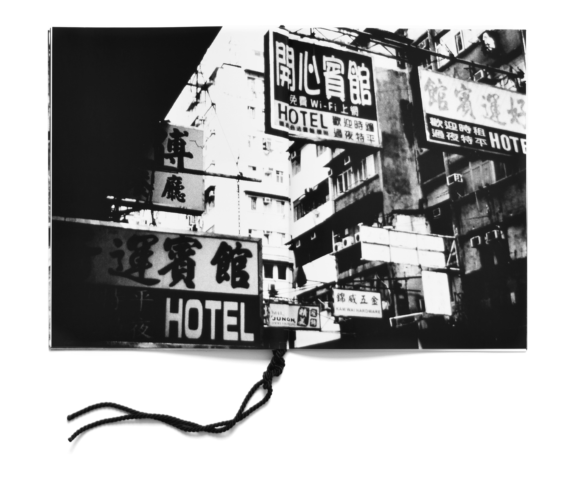 Chinese city dying flower nr (chungking issue) - Léa Abaroa – Image 6