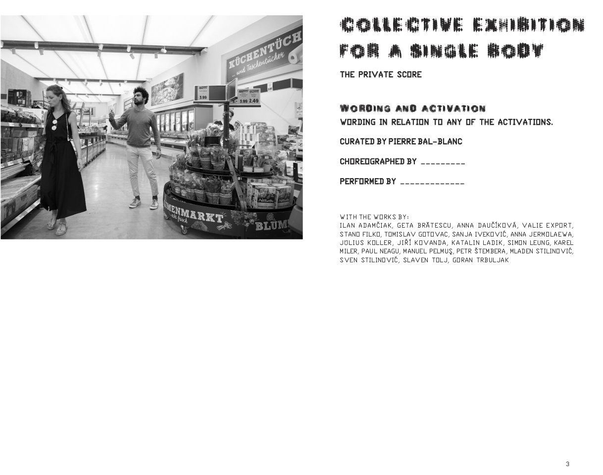 Collective Exhibition for a Single Body – The Private Score – The Licence - Pierre Bal-Blanc – Image 2
