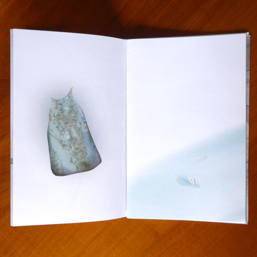 ~H AVA - Stanislava Karbušická – Image 5