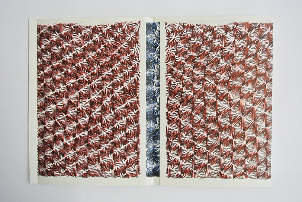 Indiscernible Irregularities - Coll. – Image 2