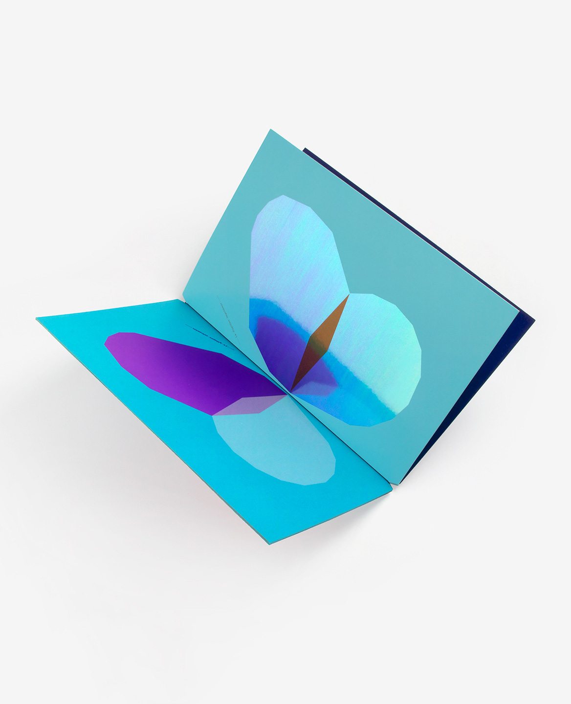 Le Papillon imprimeur - Fanette Mellier – Image 3