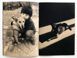 Akiko Watanabe - Sari – Image 5