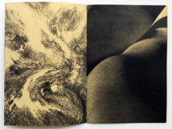 Umami - Ariane Vonmoos – Image 7