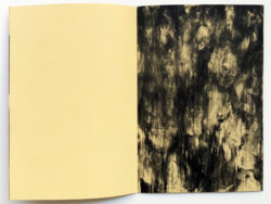 Umami - Ariane Vonmoos – Image 5