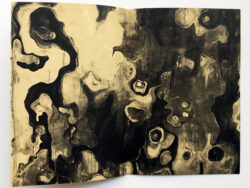 Umami - Ariane Vonmoos – Image 4