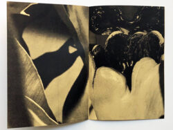Umami - Ariane Vonmoos – Image 3