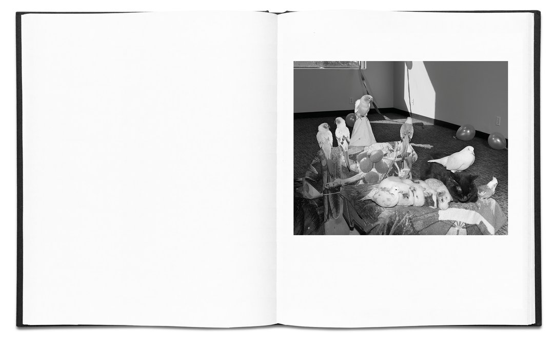 The Community - Eli Durst – Image 7