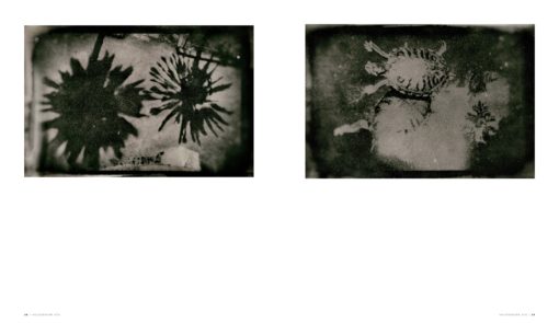 Halogènure # 07 – Image 14