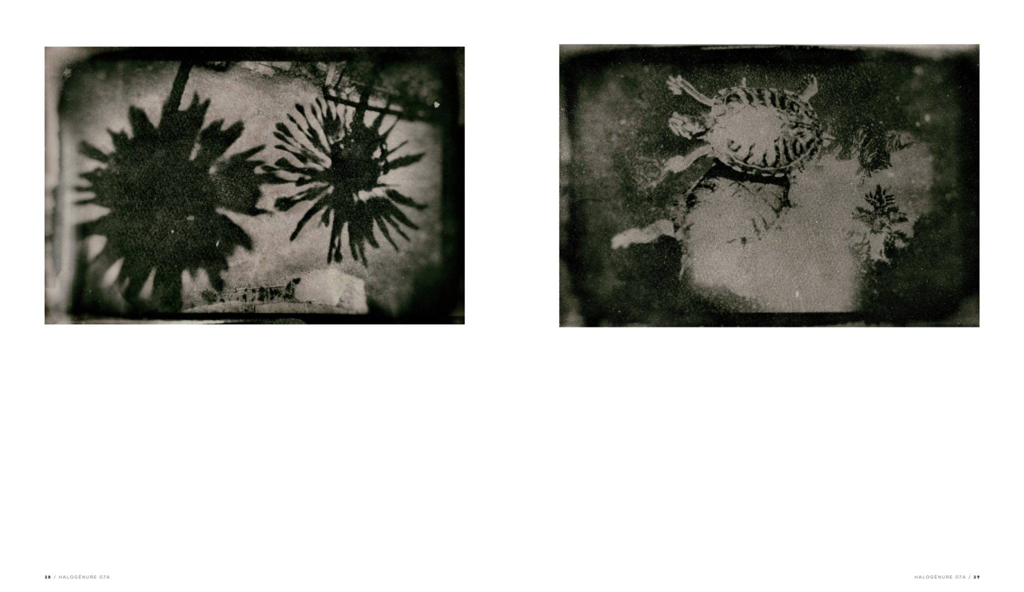 Halogènure # 07 – Image 14