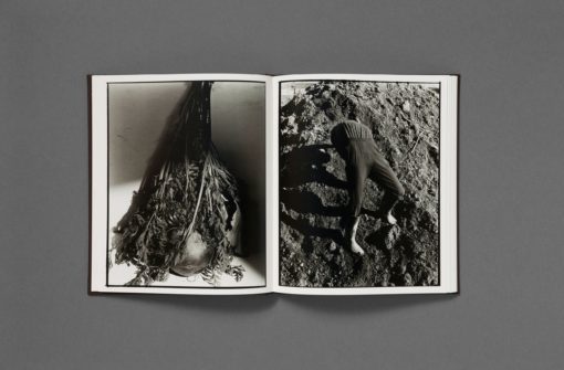 People of the Mud - Luis Alberto Rodriguez – Image 7