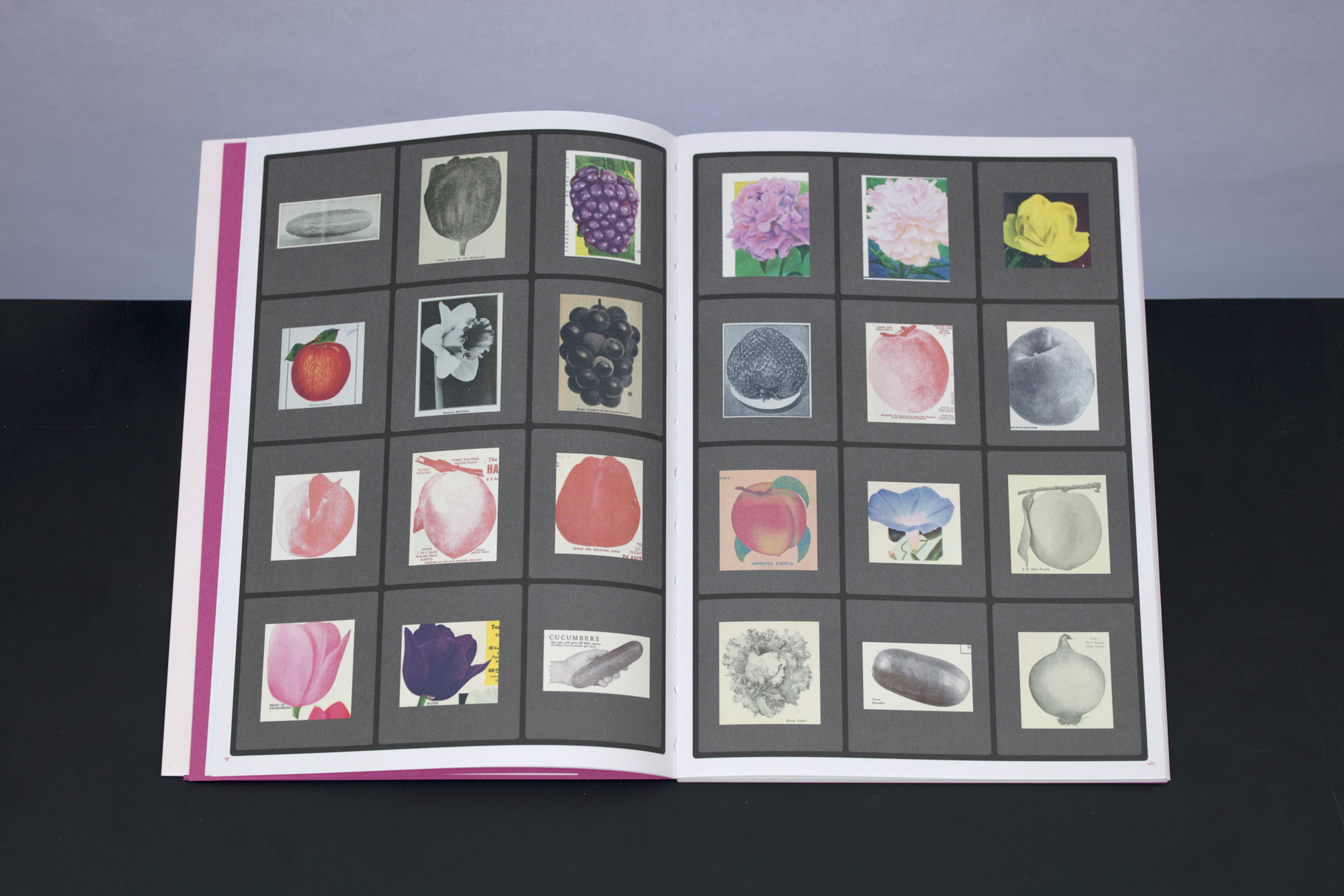 Eldorado - Ruth van Beek – Image 4
