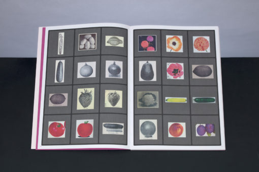 Eldorado - Ruth van Beek – Image 5