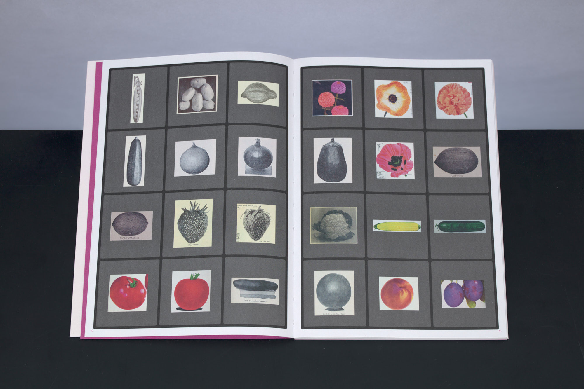 Eldorado - Ruth van Beek – Image 5
