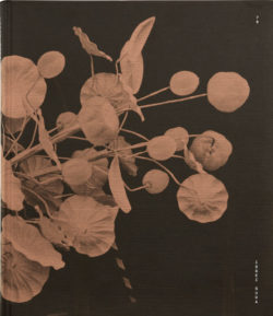 78 - Issei Suda
