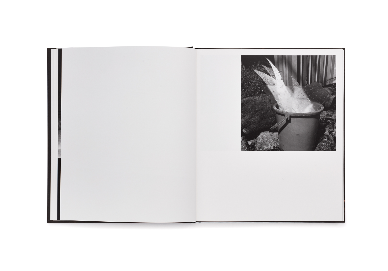78 - Issei Suda – Image 7