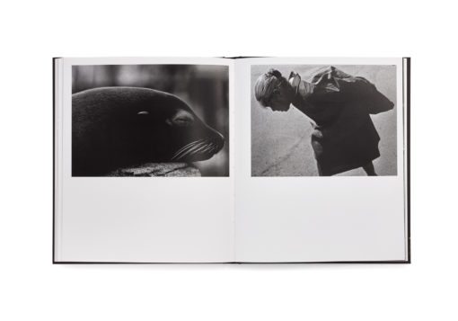 78 - Issei Suda – Image 17