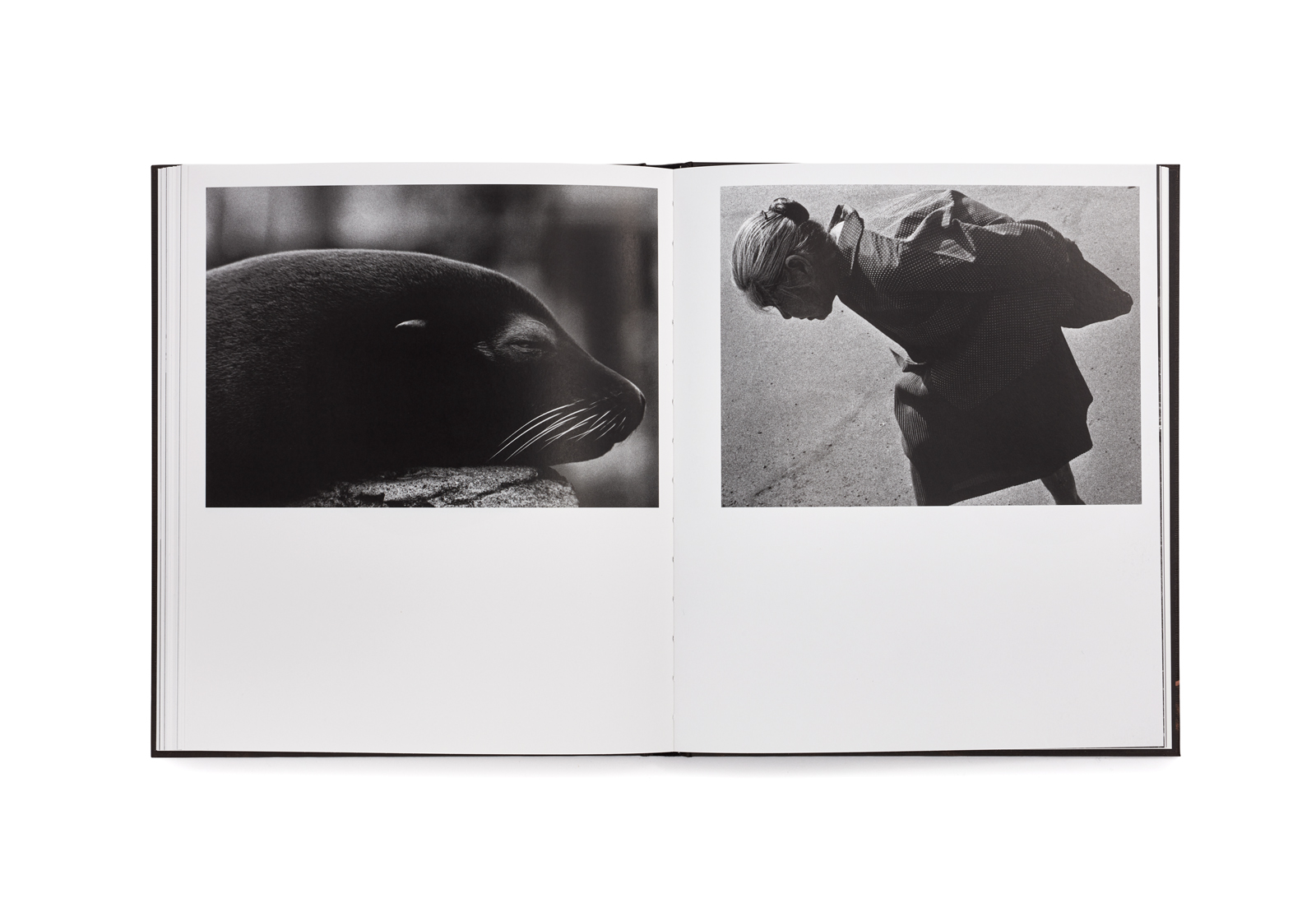 78 - Issei Suda – Image 17