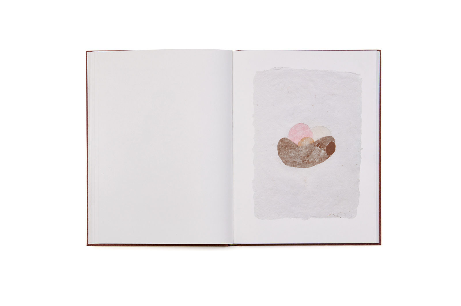 Do insects play ? - Johanna Tagada Hoffbeck – Image 5