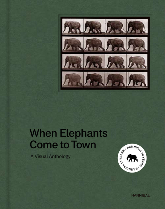 When Elephants Come to Town – A Visual Anthology - James Attlee