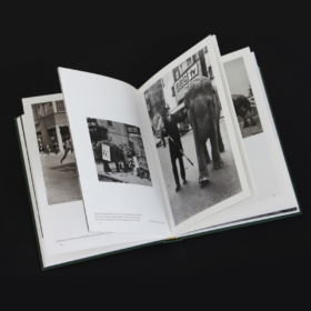 When Elephants Come to Town – A Visual Anthology - James Attlee – Image 7