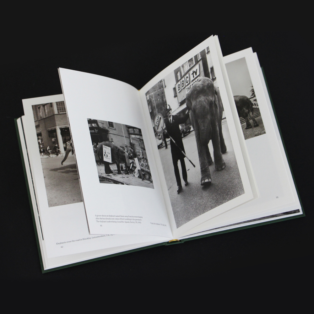 When Elephants Come to Town – A Visual Anthology - James Attlee – Image 7