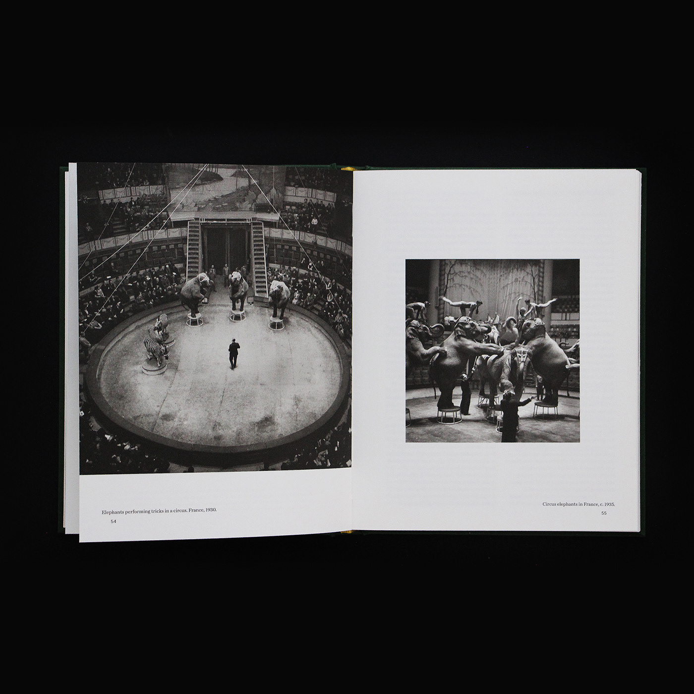 When Elephants Come to Town – A Visual Anthology - James Attlee – Image 6