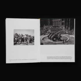 When Elephants Come to Town – A Visual Anthology - James Attlee – Image 5