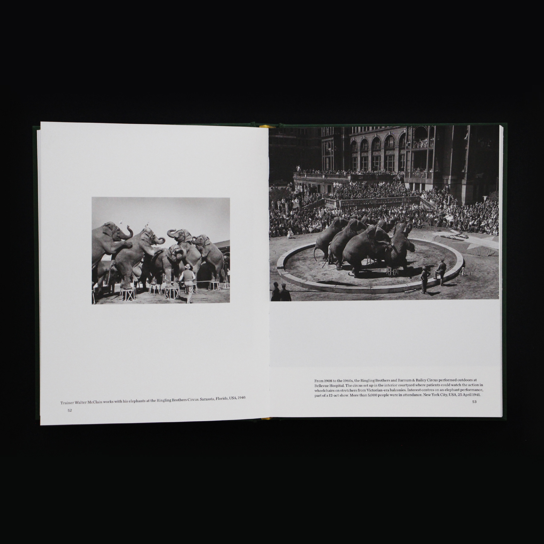 When Elephants Come to Town – A Visual Anthology - James Attlee – Image 5