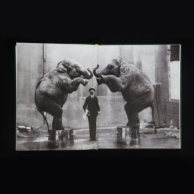 When Elephants Come to Town – A Visual Anthology - James Attlee – Image 4