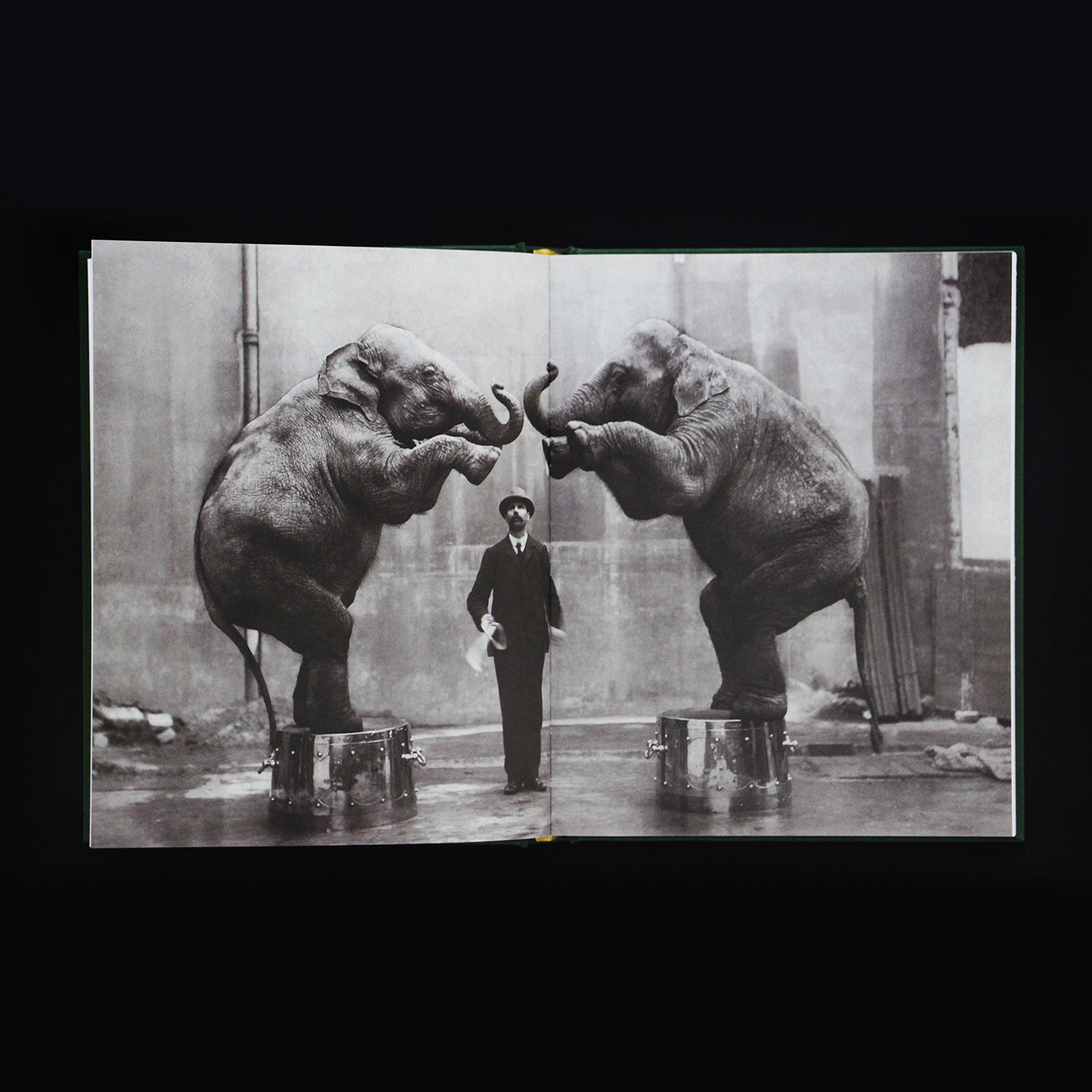 When Elephants Come to Town – A Visual Anthology - James Attlee – Image 4