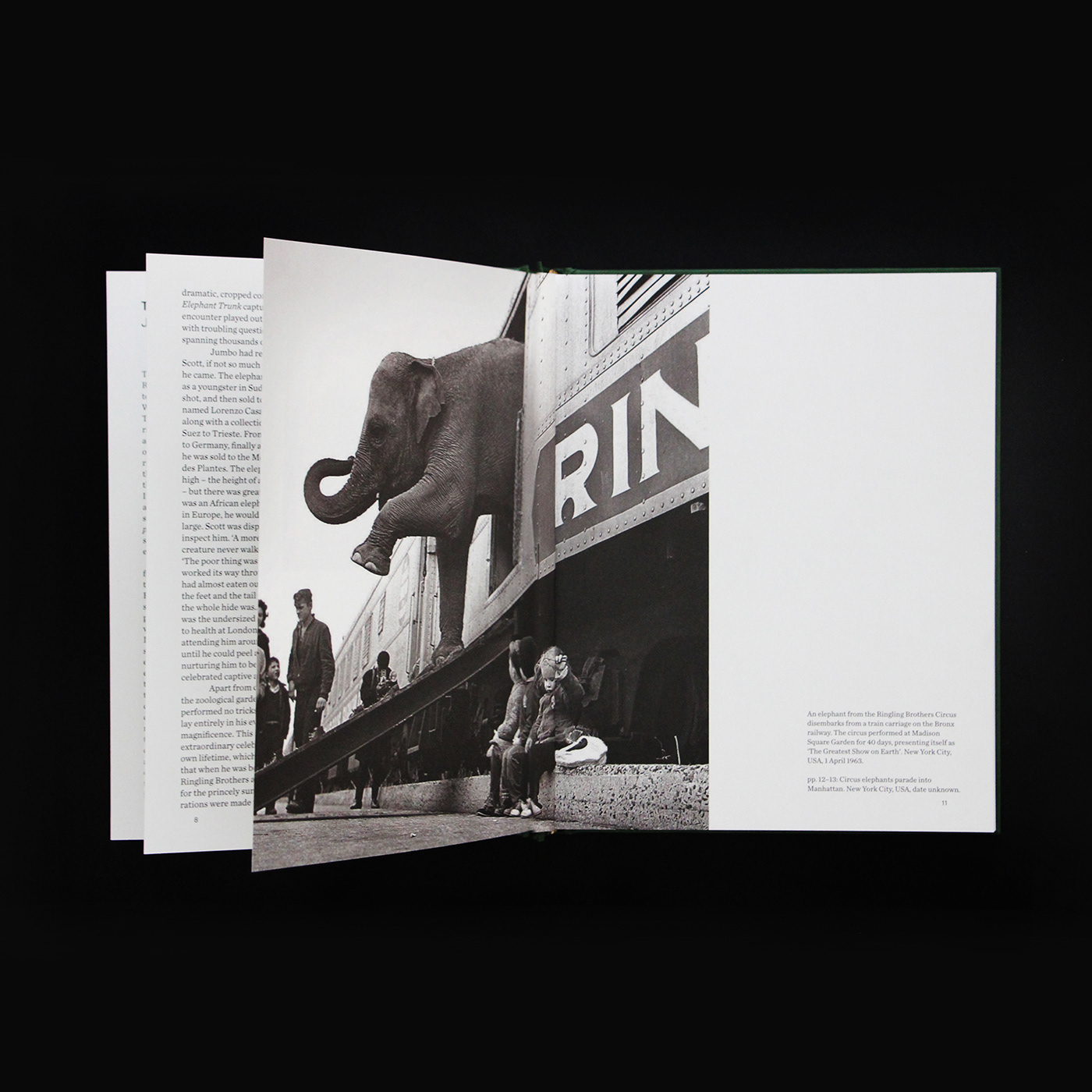 When Elephants Come to Town – A Visual Anthology - James Attlee – Image 3