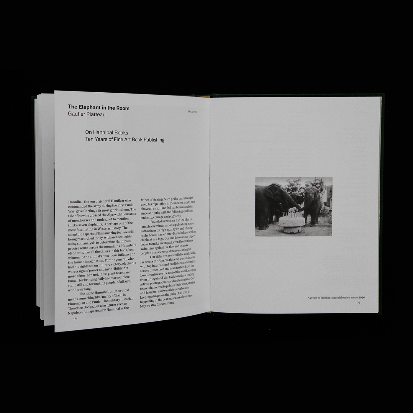 When Elephants Come to Town – A Visual Anthology - James Attlee – Image 2