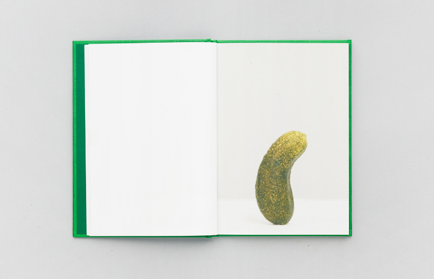 Self-Portrait as 47 Pickles - Erwin Wurm – Image 4
