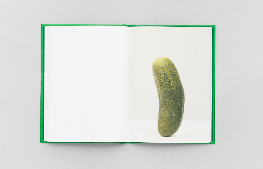 Self-Portrait as 47 Pickles - Erwin Wurm – Image 5