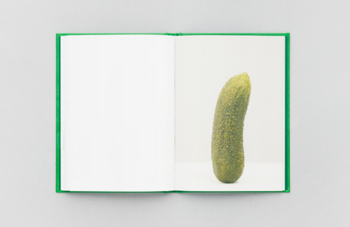 Self-Portrait as 47 Pickles - Erwin Wurm – Image 6