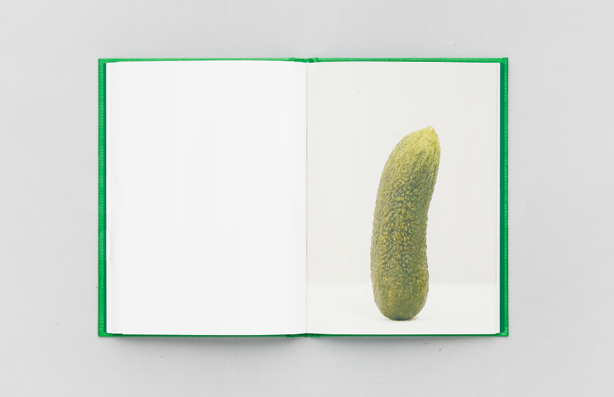 Self-Portrait as 47 Pickles - Erwin Wurm – Image 6