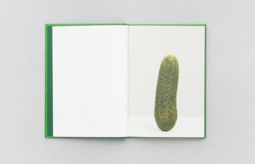Self-Portrait as 47 Pickles - Erwin Wurm – Image 2