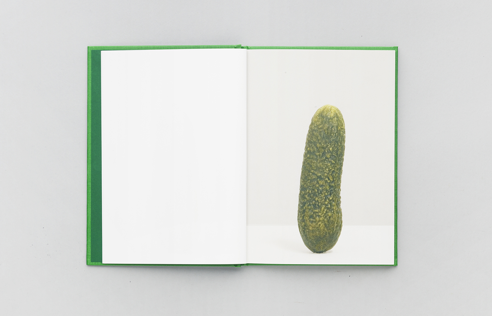 Self-Portrait as 47 Pickles - Erwin Wurm – Image 2