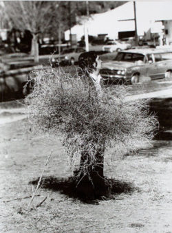Gianni Pettena 1966-2021