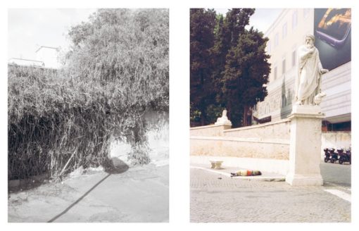 Lavori in corso - Florence Cats & Joseph Charroy – Image 7