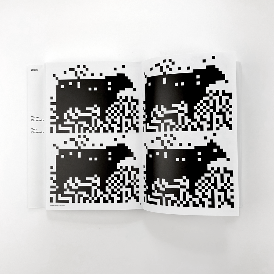 Norm: Dimension of Two - Dimitri Bruni, Manuel Krebs – Image 3