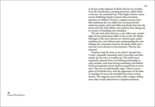 On Onions - Elad Lassry – Image 9