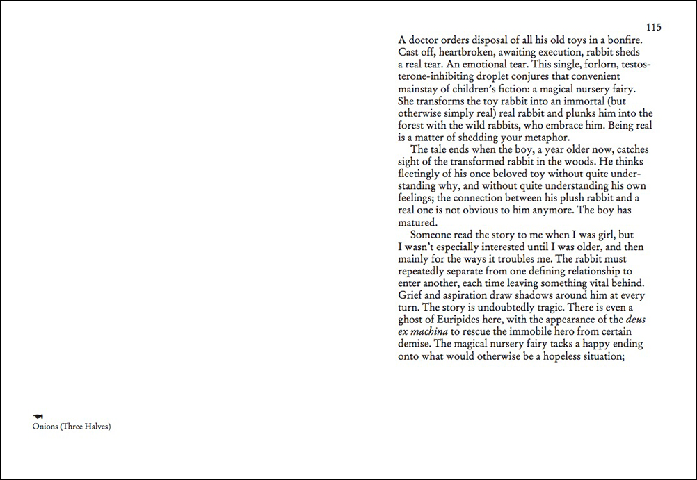 On Onions - Elad Lassry – Image 9